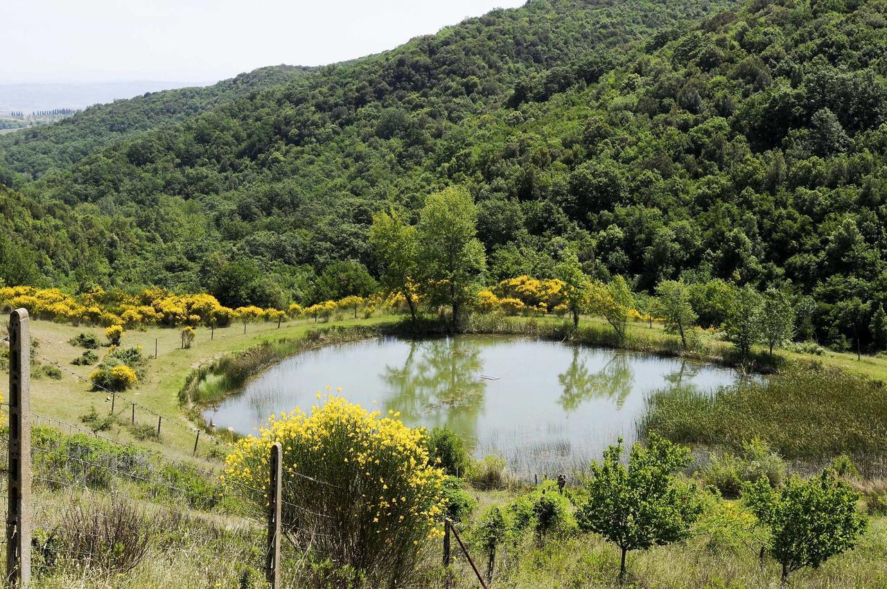 La Grotta Dell'Eremita 220S Otel Gambassi Terme Dış mekan fotoğraf